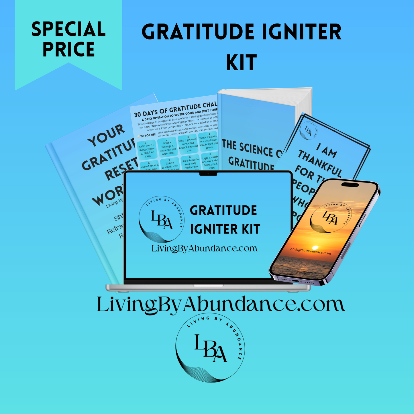 Living By Abundance™ The Gratitude Igniter Kit