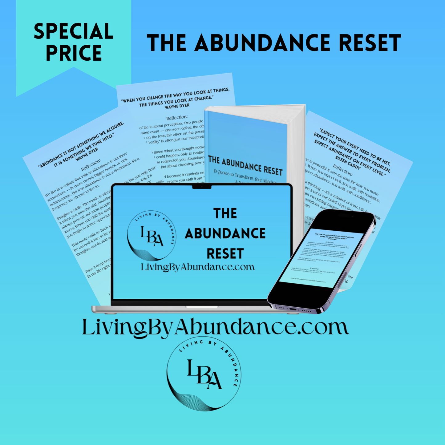 Living By Abundance™ The Abundance Reset